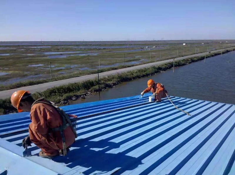 西塞山钢结构屋面漏水原因